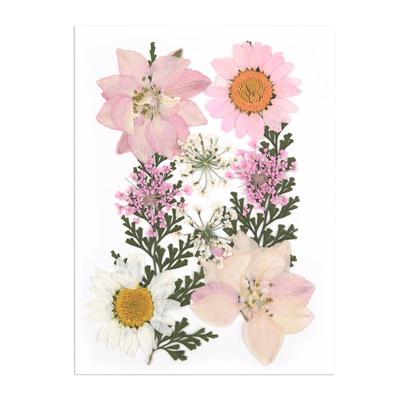 Classic Dried Flower Combination Small Packaging Dry Plants For Rsein Molds Fillings Epoxy Resin Craft DIY Nail Art Decoration