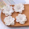 5Pcs Acrylic Garment Decoration Flower Multi-layer Design Multi-layer Flower Craft  Hair Clip