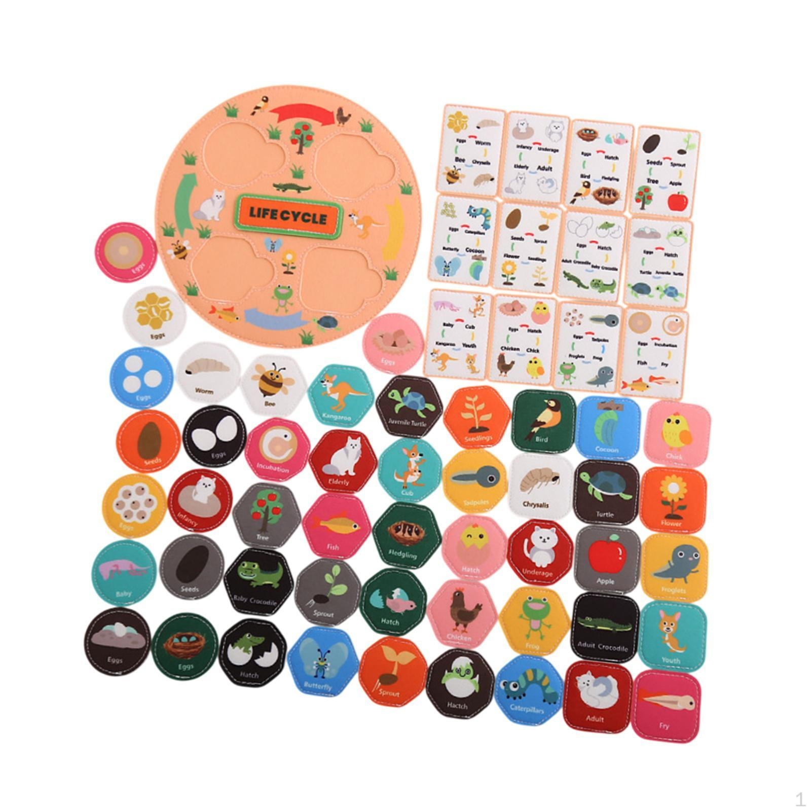 

Набор «Жизненный цикл пищевой цепи» Игра «Соответствие животных» Подарок на день рождения Обучающая веб-страница для дошкольников оранжевый