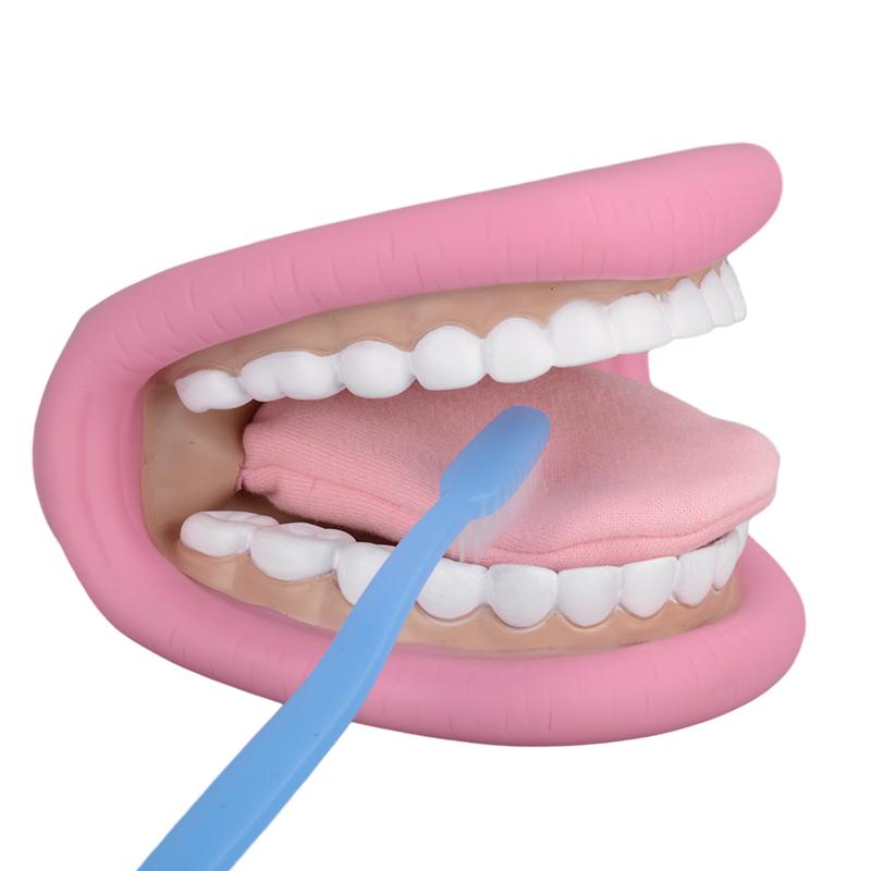 Kids Mouth Hand Puppet 28 Teeth Tongue Mouth Puppet For Speech Improvement Mouth Puppet For Speech Learning
