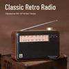 Panda T-41 Portable Retro Multi-Band Radio