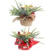 Christmas Berry Pinecone Candle Holder Featival Theme Rustic Candle Holder Multifunctional for Holiday Table Decoration