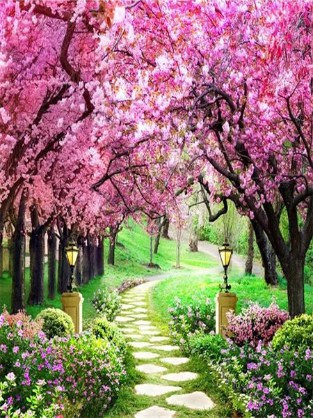 Full Square Round Diamond Painting Kit Cherry Blossoms Tree Diy Embroidery Mosaic Building Landscape Home Decor