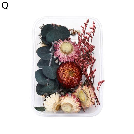 Artă populară Floare uscată Moale Vii Estetică