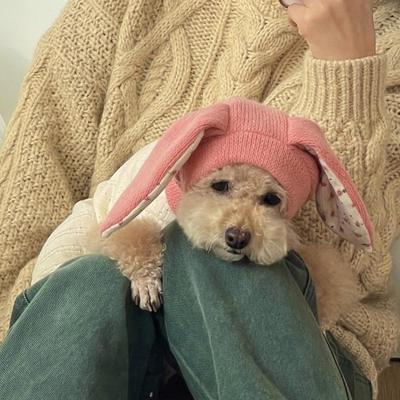 Weicher Bequemer Haustierhut Haustierhut für Hunde Gemütlicher Haustierstrickhut mit Niedlichen Hasenohren Hält Haustier Warm Herbst Winter mit für Katzen