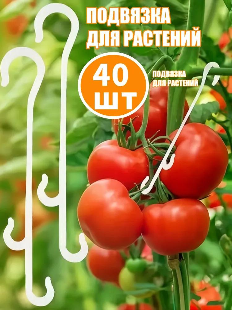 

Гачки для підтримки рослин і плодів — Аксесуари для теплиць для вирощування помідорів та баклажанів One Size білий