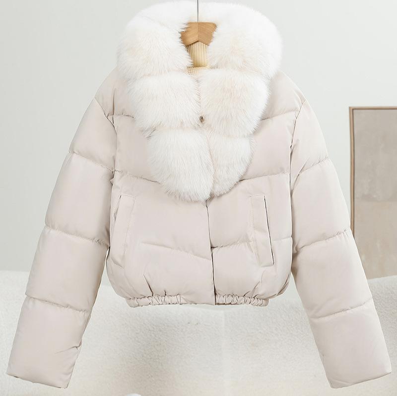 Winter new women's fashion big fur collar warm down cotton clothes short small cotton-padded coat