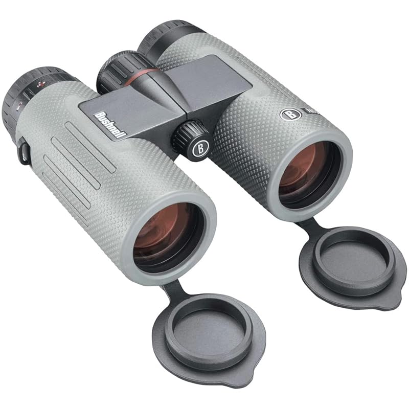

Bushnell nitro 10x36 BN1036G