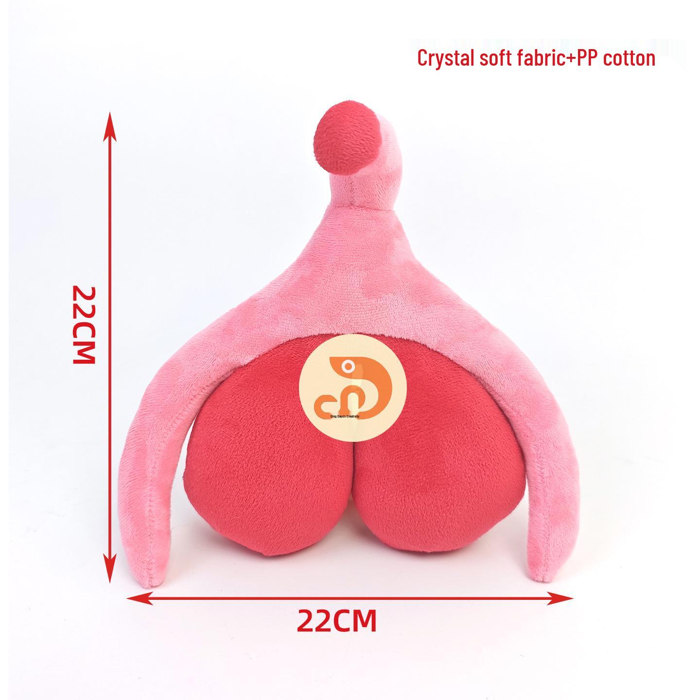 

Private Boudoir Decor Bean Pod Female Anatomy Teaching Model