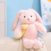 Xiaohongshu Valentine's Day Long-Eared Rabbit Plush Doll Toy.