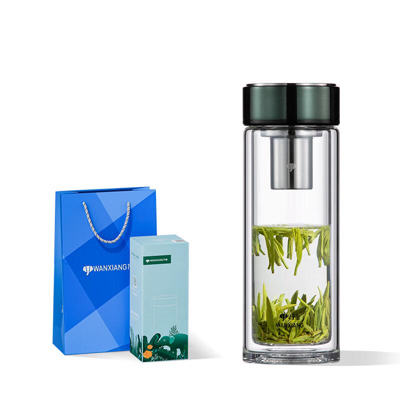 Vansha Double-Wall Glass Tea Infuser Bottle 290ml