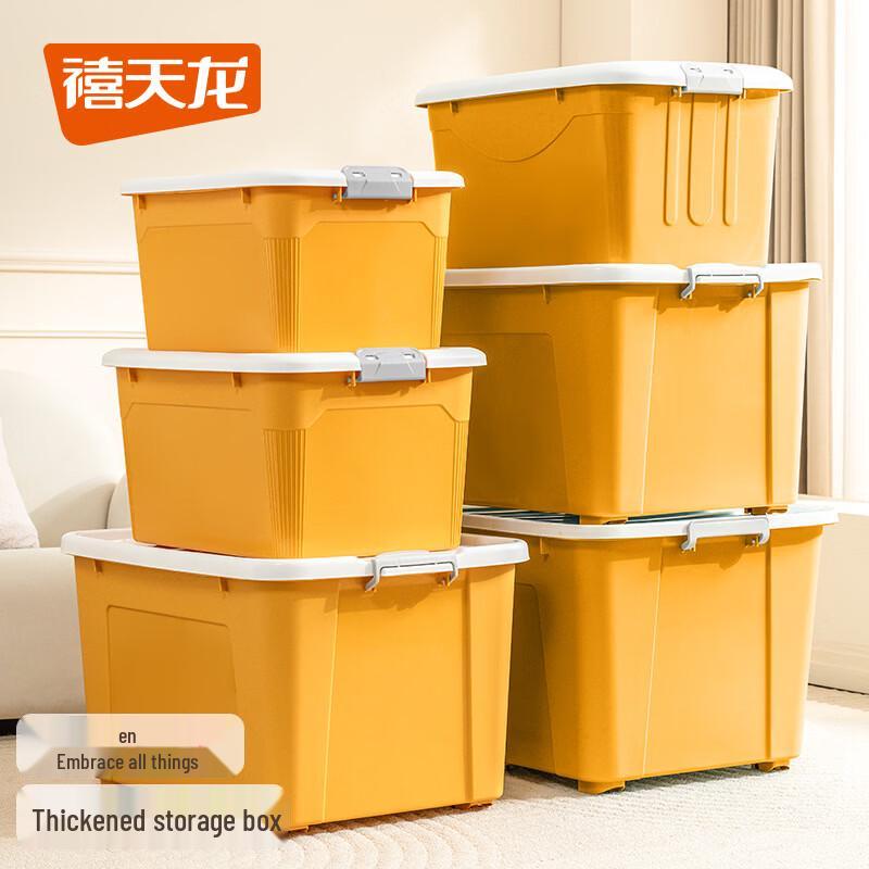 Multifunctional 60L Storage Organizer