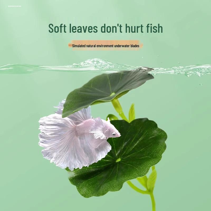 Betta Fish Resting Leaf: Lazy Leaf Perch, Hide & Simulate Spawning In Small Tanks