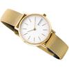 Skagen Classic Watch SKW2693