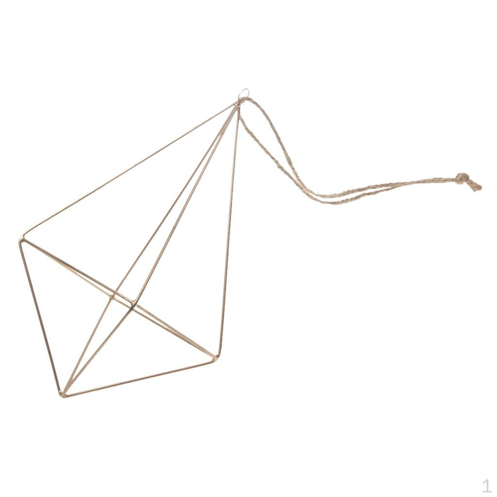 Tillandsia Air Plant Rack Planter Wedding and garden Hanging Décor