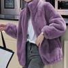 Fleece Thickened Jacket Coral Fleece Sweater Women's Autumn and Winter Design Sense Double-sided Fleece Stand-up Collar Warm Cardigan Wool Top