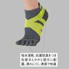 Nittaku Table Tennis Light Medium NW2900 Socks, Five-Toe Socks, Green, (22.0-25.0cm),