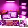 Full Spectrum Led Grow Light For Indoor Plants With High Efficiency And Waterproof Design