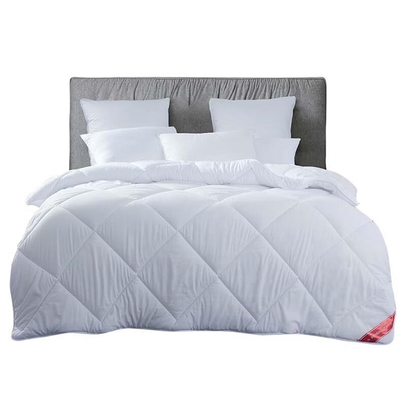 

Mengjie Super Soft Nano Pearl Fiber Modular Quilt