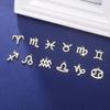Teamer 12 Stück/Los Tierkreiszeichen Anhänger Edelstahl Horoskop Astrologisches Zeichen Anhänger für Halskette Armband Schmuckherstellung