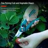 Zhishi Outdoor Stainless Steel Pruning Shears