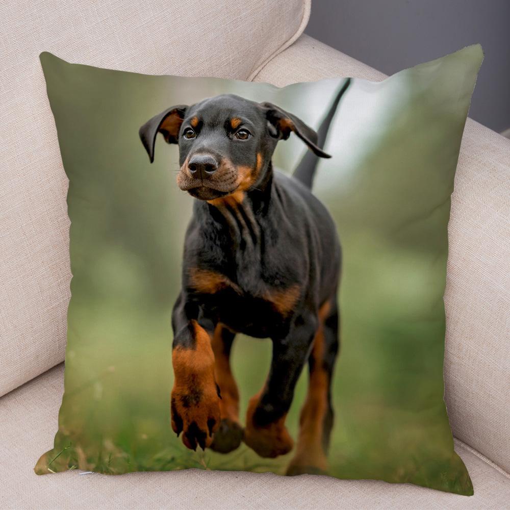 Doberman Pinscher Cushion Cover Both Sided Print Decor Pet Dog Animal Pillow Case for Car Sofa Home Soft Plush Throw Pillowcase