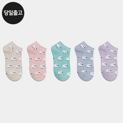 PG Women's/Student Cloud Ankle Socks (5 Pairs) Set Daily Sneakers Spring Socks