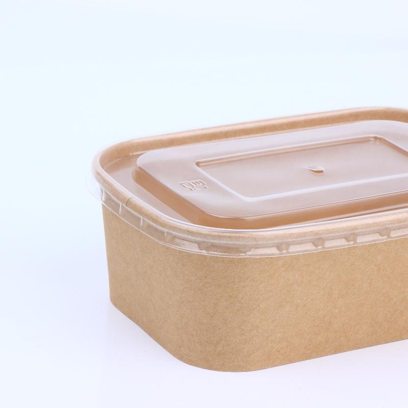 Disposable Square Kraft Paper Lunch Boxes 10 PCS Grease Proof Food Packing Boxes for Fast Food Takeout Daily Use