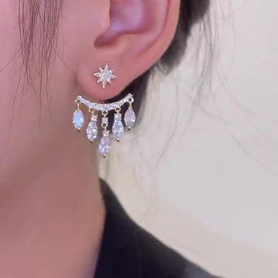 Zirkon Stern Wassertropfen Fransen Ohrringe leichter Luxus exquisit vielseitig Stecker Ohrringe Nische Temperament High-End Ohrringe Frauen