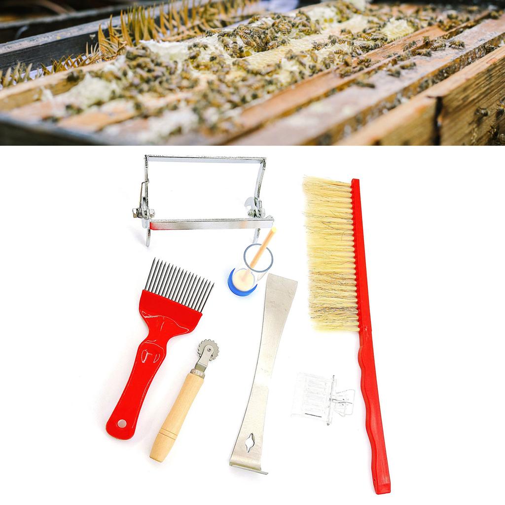 Beekeeping Tool 7pcs/set Beekeeping Supplies Equipment Kits Bee Feeder Brush Queen Catcher Hive Capture Mark Cleaning
