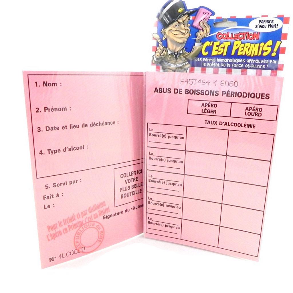 Les Trésors De Lily [H6980] - Special Card 'Permit To Use' - 20.5x14.5 Cm