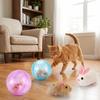 Built-in Plush Animal Interactive Cat Toy Transparent Hamster Chasing Ball  Training