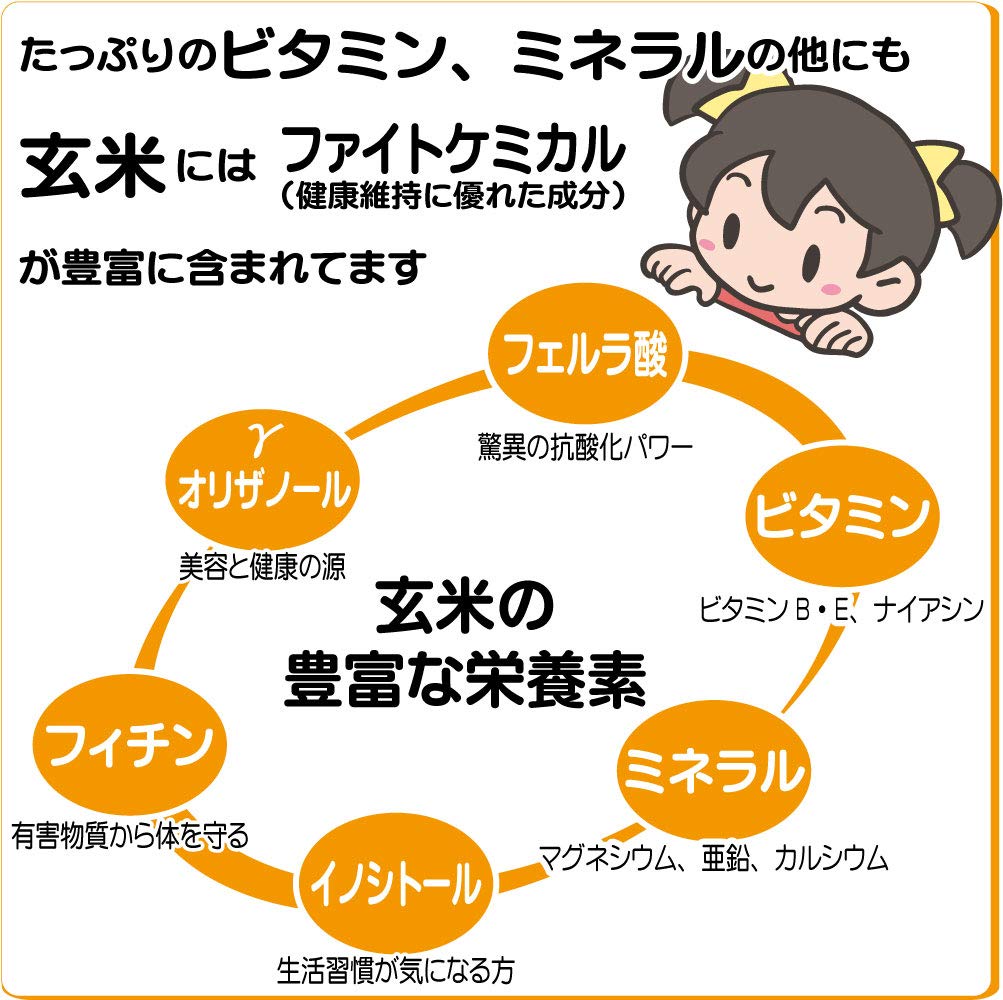 Freshly Delivered Directly from the Factory Freshly Roasted Brown Rice Flour Whole Brown Rice Powder X 5 (Gensenko) (500g Bags)