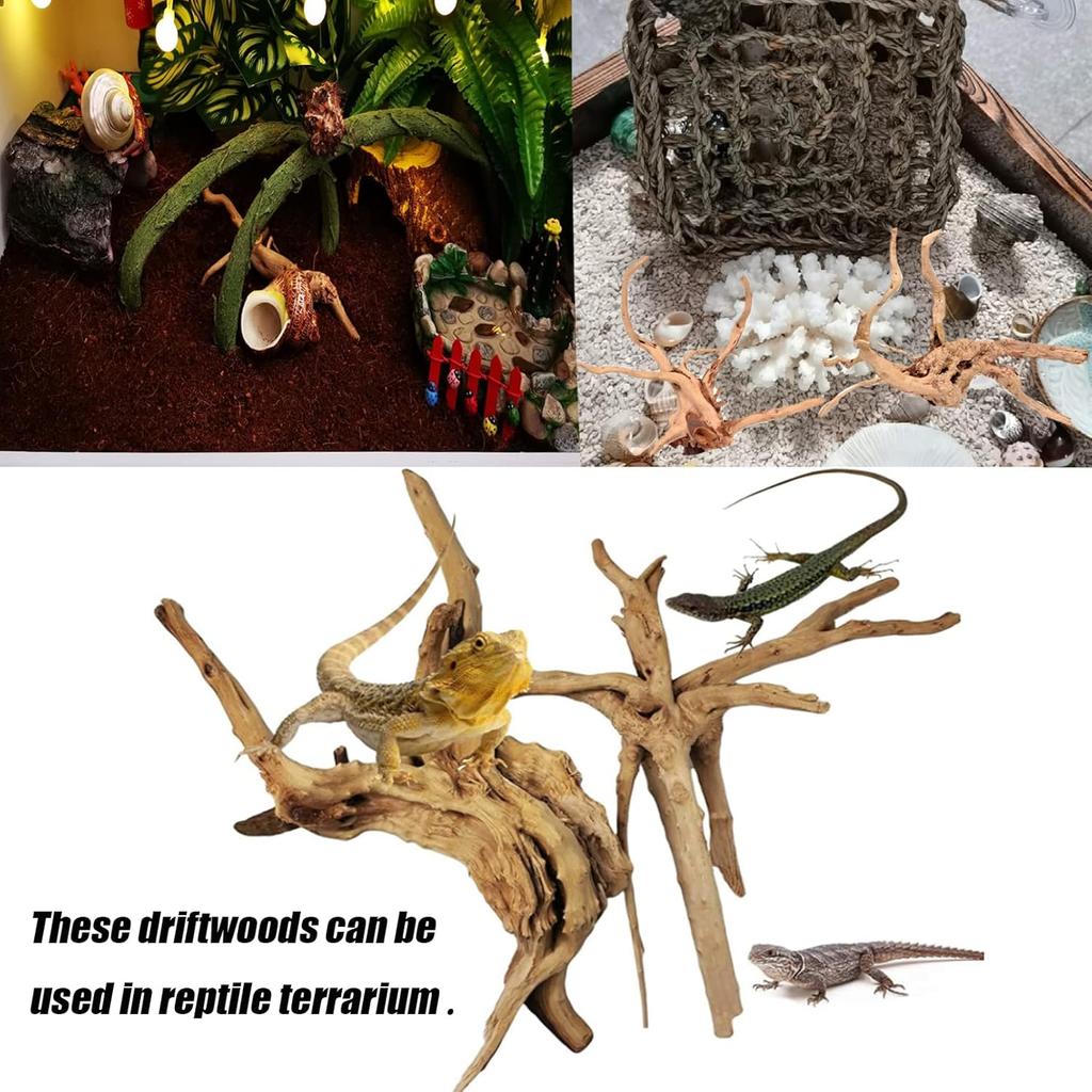 Tfwadmx Aquarium Driftwood Natural Wood 4''-7'' Reptile Branch Fish Tank Tree Plant Stump Ornament Decor 4 PCS