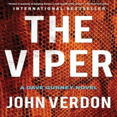 The Viper by John Verdon Paperback Book 9781640096493