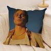 DDrews Starkey Singer Cushion Cover Silky Short Plush Invisible Zipper Dustproof Sofa Pillow Case For Home Decor