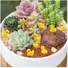 Mini Resin Ducks Tiny Duck Miniature Figures Bulk Little Duck Charms for Party, DIY Micro Landscape Decorations