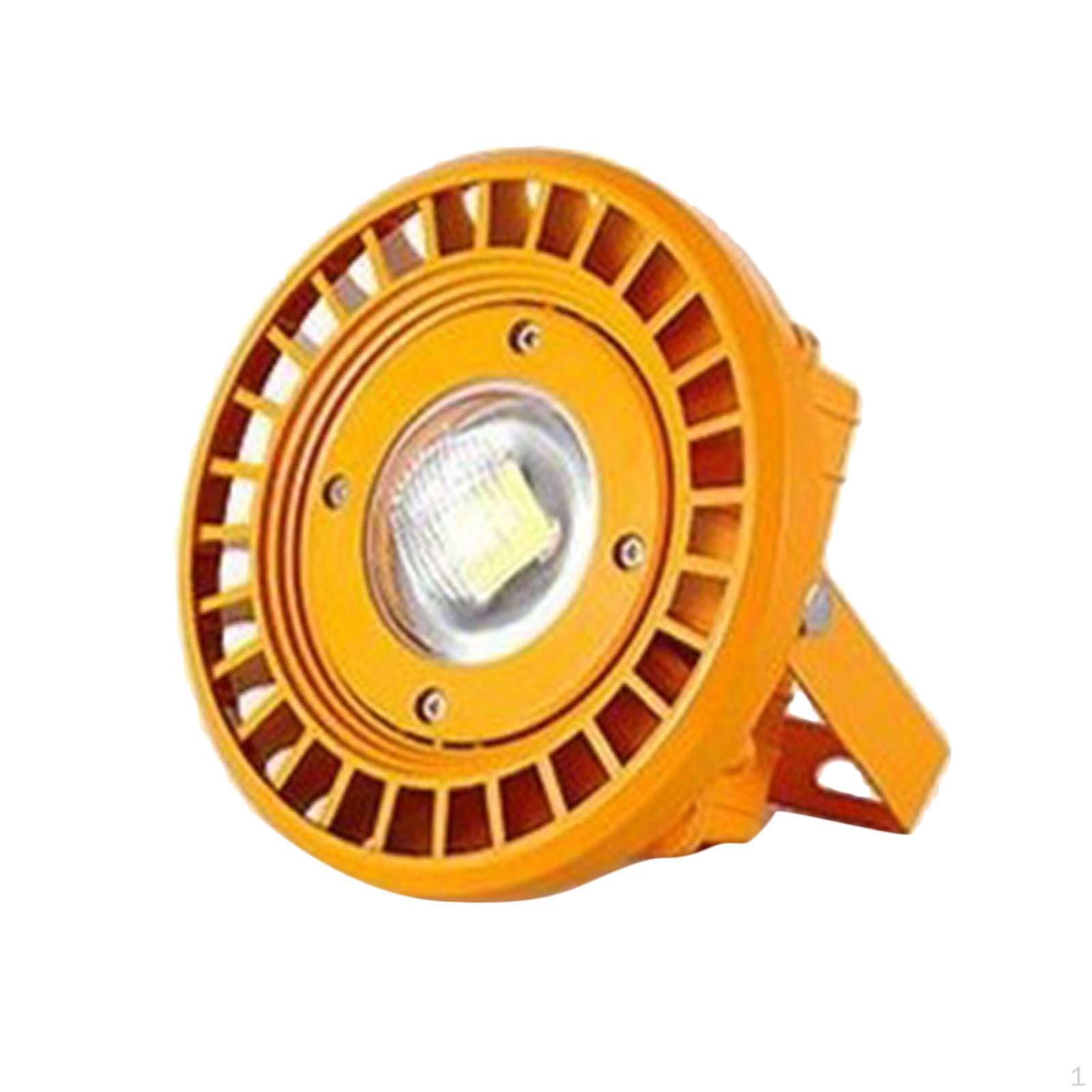 

Floodlight Light Historic Building Billboard Lighting Lamp 30W Cool White