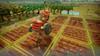 Farm Together Deluxe Edition Северный коммутатор (Импортированная Америка) –