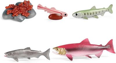 [Nekogami-yama] Salmon Growth Stage 5-Figure Set Freshwater Fish River Fish Model Miniature Ornament Interior Collector Model 2432
