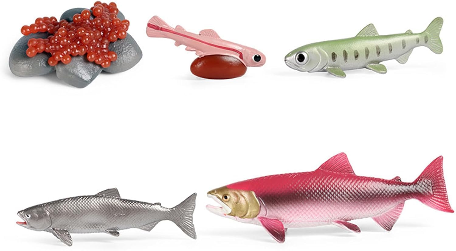 

Salmon Growth Stages Set Freshwater Fish River Fish Model Miniature Ornament Interior Collector Model 2432 [Nekogami-yama] 5-Figure синий