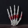 Halloween Spirit Skeleton Hands Realistic Plastic Scary Skeleton Hand Witch Skull Skeleton Hands for Haunted House Decors
