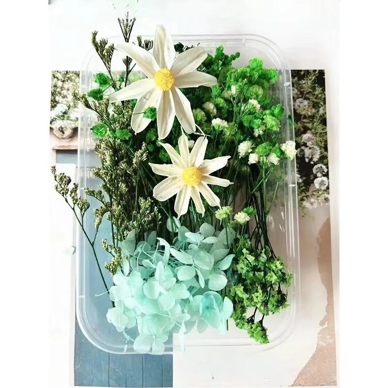 Trockenblumen DIY Blumenmaterialien Ewige Blume Handwerk Hochzeitsfeier Dekoration Blumenkurs Künstliches Materialpaket