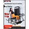 Pan Zhi Jian Commercial Leg Extension & Curl Machines