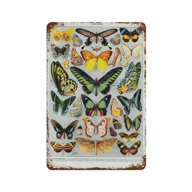 Vintage Butterfly Insect Plant Collection Chart Metal Tin Sign Retro Aesthetic Art Decor for Living Room Wall Home Decor Poster