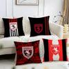 Sport Football S-Samsunspor Cushion Cover Reversible Plush Pillow Cover – For Car, Sofa, Bedroom, Perfect As a Gift.
