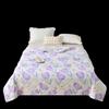 Good Sleep All-Season Polyester Summer Quilt