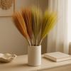 Broom Set of 4 Long Natural Colours Pampus