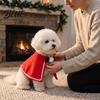 Pet Holiday Apparel Christmas Cape with Bow, Red Cloak for Small Medium Dogs & Cats, Outfit White Wavy Trim, Festive Costume Pets Cat Party Clothes