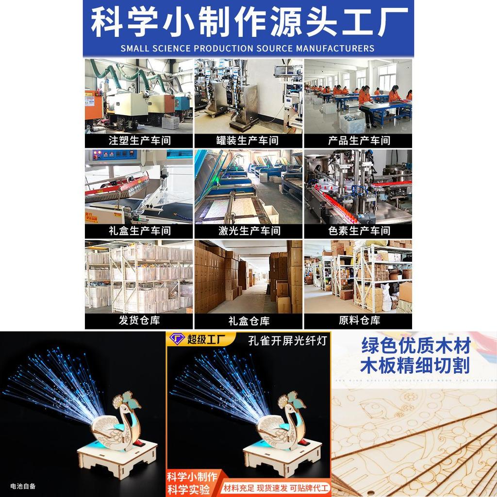 Childrens Peacock Display Science Experiment Kit With Diy Electric Toy For Learning And Creativity